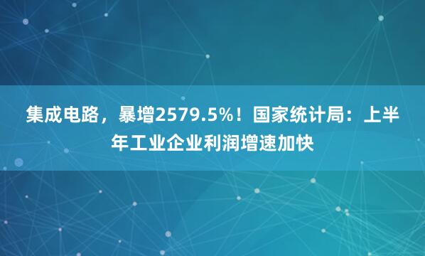 集成电路，暴增2579.5%！国家统计局：上半年工业企业利润增速加快