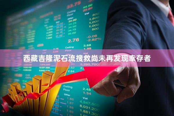 西藏吉隆泥石流搜救尚未再发现幸存者