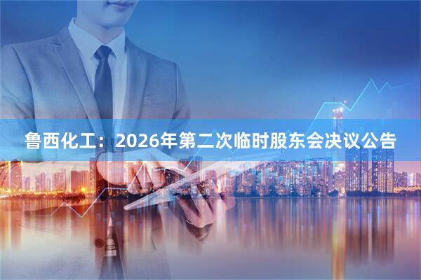 鲁西化工：2026年第二次临时股东会决议公告